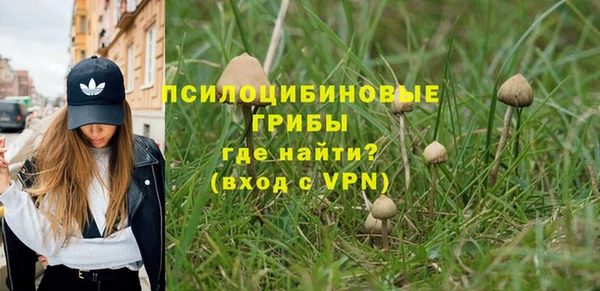 дурь Алексин