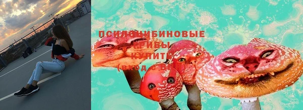 дурь Алексин