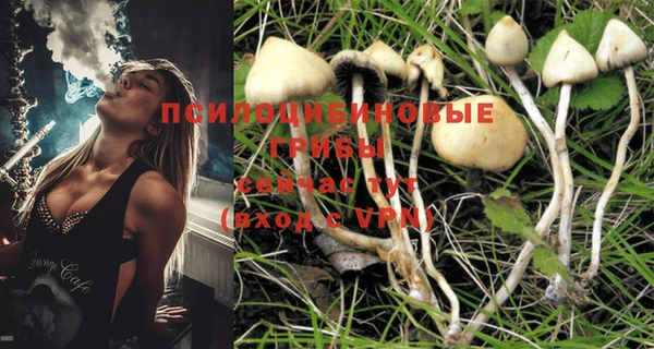 MESCALINE Алзамай