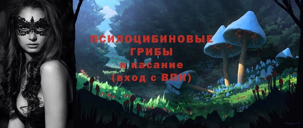 дурь Алексин