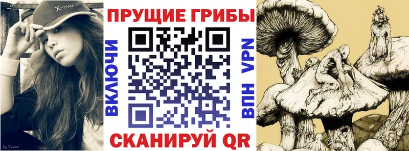 наркошоп  Железногорск-Илимский  Галлюциногенные грибы ЛСД 